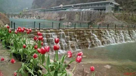 国足亚洲杯出局后,媒体揭示内幕:领导影响首发阵容
